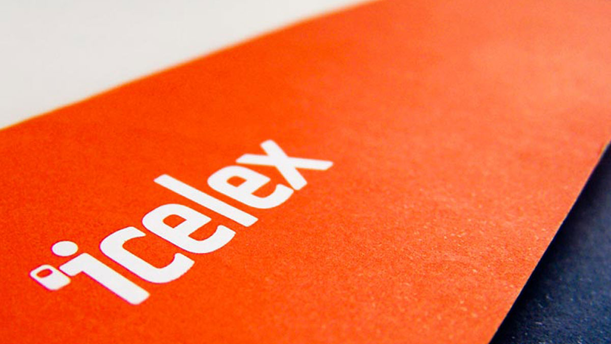 portfolio-icelex1